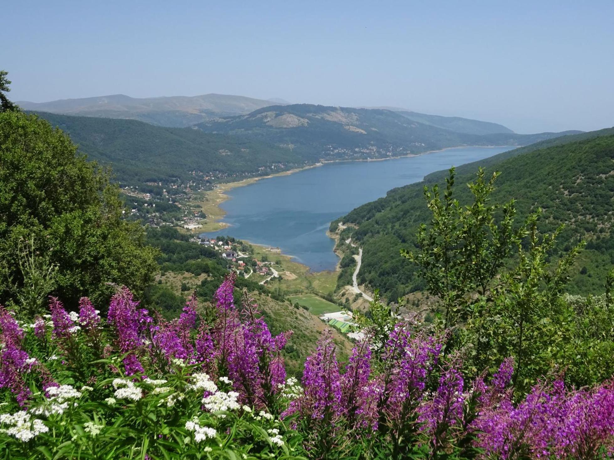 Forest View Apartment Mavrovo Exteriör bild