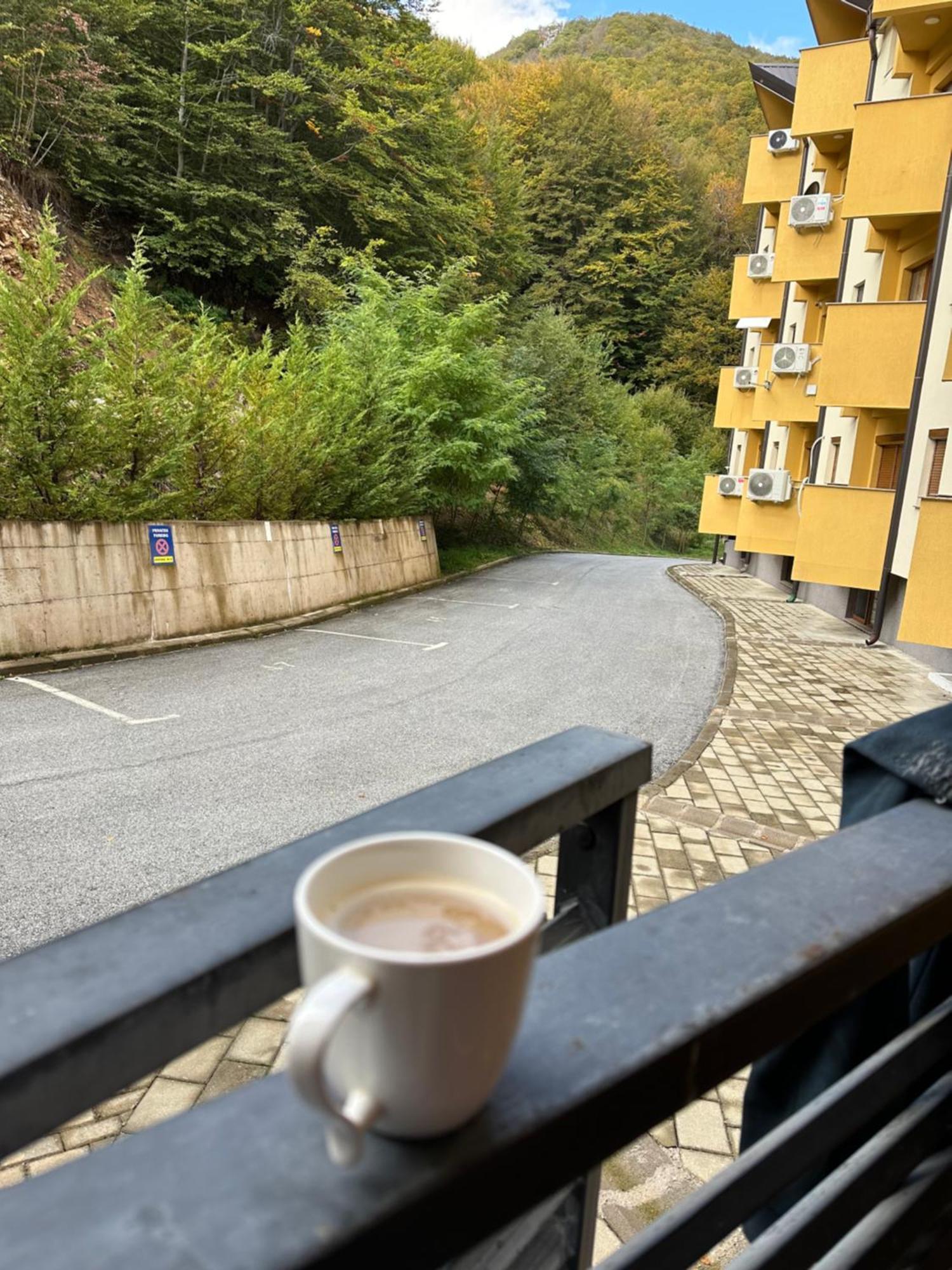 Forest View Apartment Mavrovo Exteriör bild